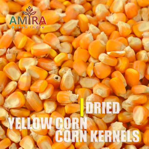 Corn
